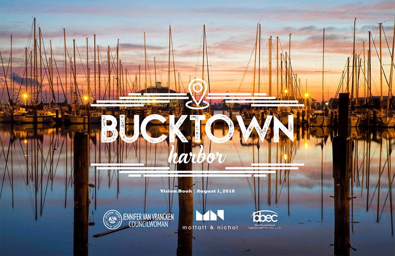 Bucktown vision plan